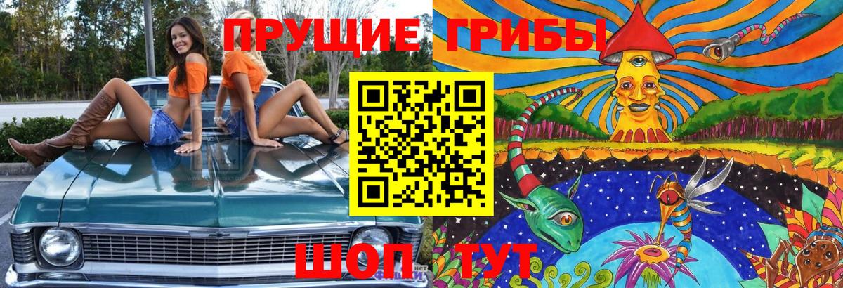 Галлюциногенные грибы мухоморы Минусинск