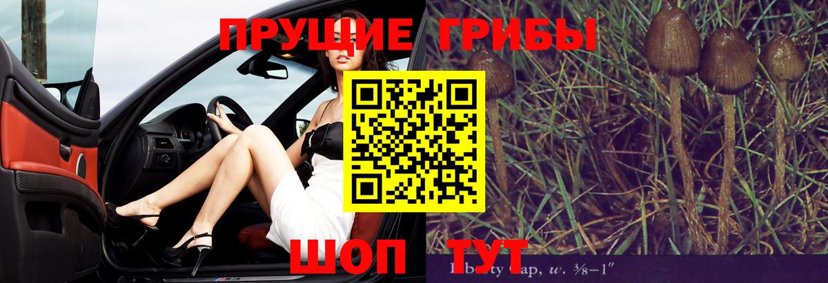 Псилоцибиновые грибы мухоморы  Псилоцибиновые грибы прущие грибы  Минусинск  Вход с VPN 